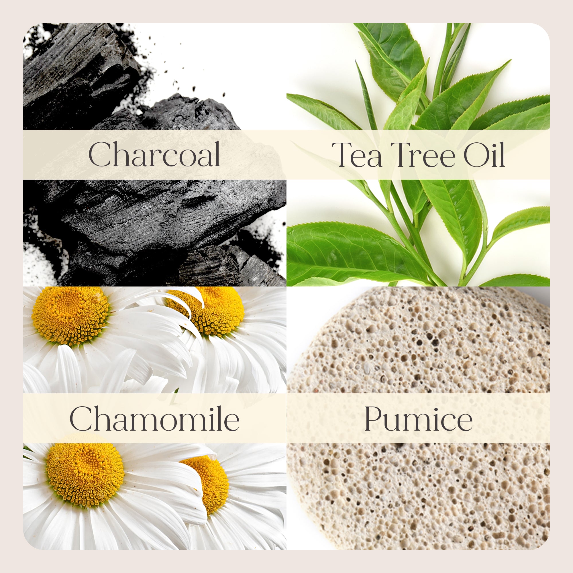 Exfoliating scrub ingredients